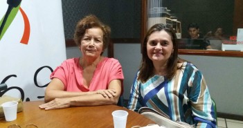 inseticida