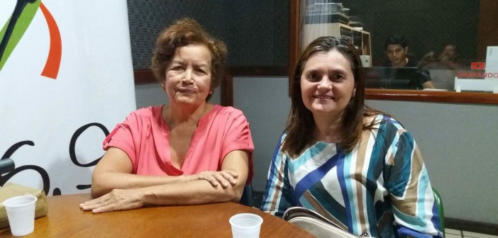 inseticida