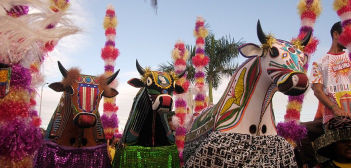 MA_Bumba_BoideGuimaraes_Edgar_Rocha530