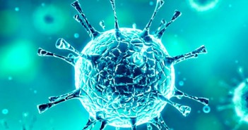net-coronavirus