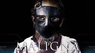images (13)(1)
