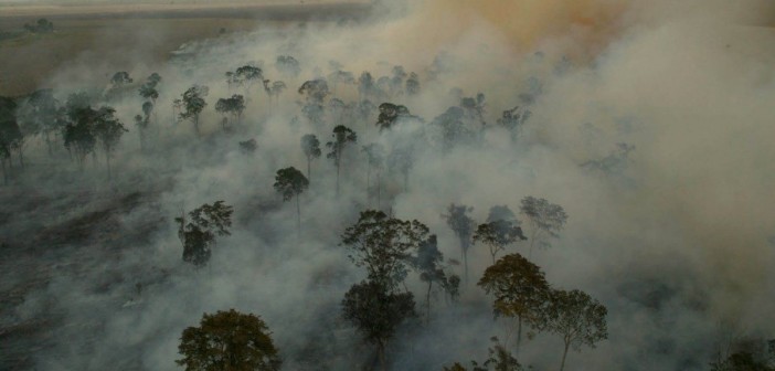Amazônia-1200x720