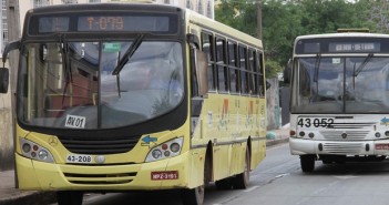 reproducao_saoLuis