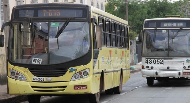 reproducao_saoLuis