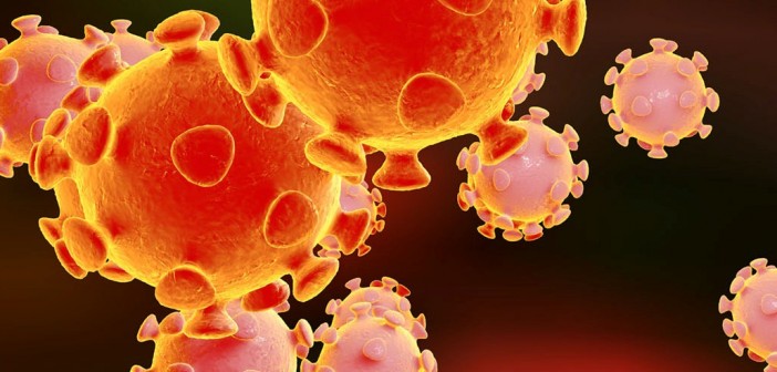 coronavirus