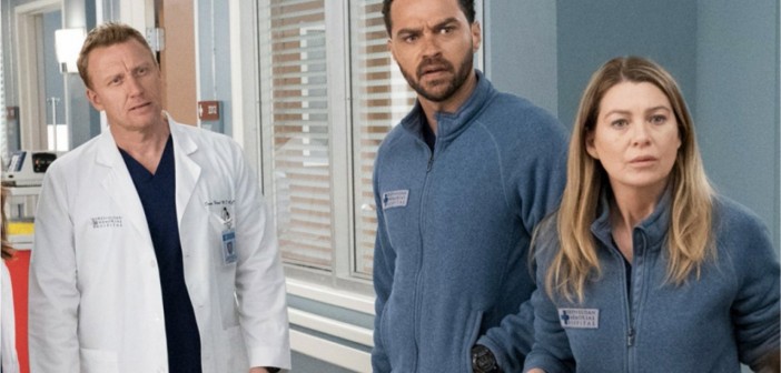 greys
