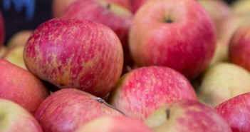 maca-fuji-organica-saudavel-bio-mercado-hortifruti-organico-feira-organic-1000x1000-1-1000x600