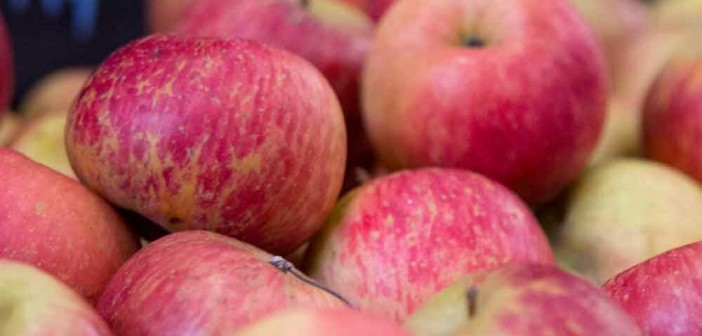 maca-fuji-organica-saudavel-bio-mercado-hortifruti-organico-feira-organic-1000x1000-1-1000x600