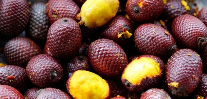 Buriti