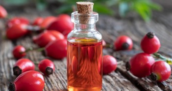 beneficios-do-oleo-de-rosa-mosqueta