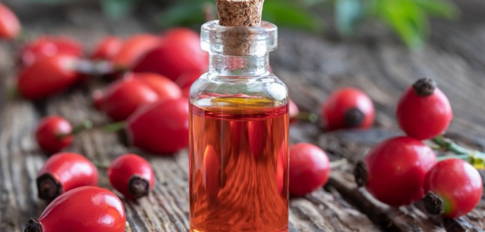 beneficios-do-oleo-de-rosa-mosqueta