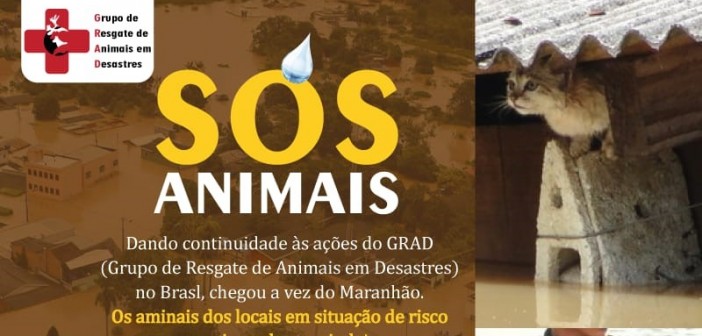 WhatsApp Image 2023-03-28 at 14.11.06ds