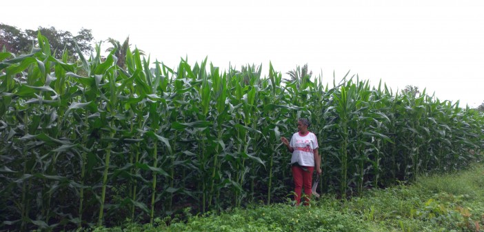 WhatsApp Image 2024-06-28 at 22.10.45