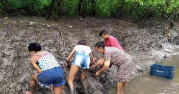 Mariscagem do sururu de dedo (Mytella Guyanensis) com a marisqueira Diva, filha e netos. Imagem: Núcleo de Pesquisa em Maricultura (NUMAR/IFMA)
