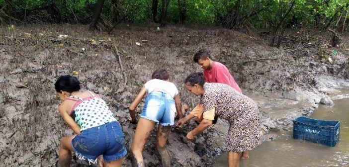 Mariscagem do sururu de dedo (Mytella Guyanensis) com a marisqueira Diva, filha e netos. Imagem: Núcleo de Pesquisa em Maricultura (NUMAR/IFMA)